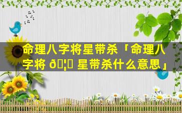 命理八字将星带杀「命理八字将 🦅 星带杀什么意思」